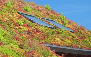Mickle Trafford living roof systems